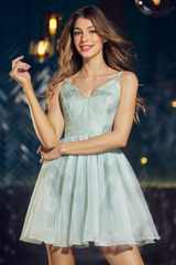 Sleeveless V-Neck Organza Ball-Gown/Princess Mini Dress