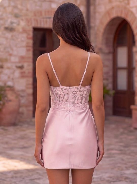 Color_Blushing Pink_back