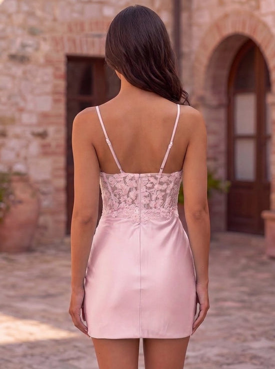 Color_Blushing Pink_back