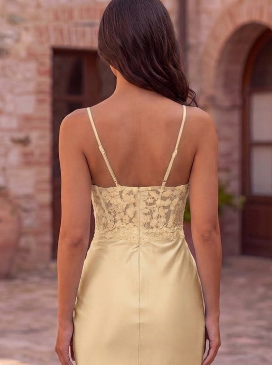Color_Champagne_back_closeup