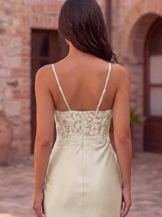Color_Ivory_back_closeup