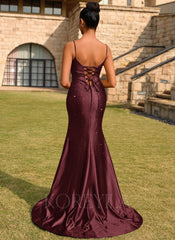 cabernet