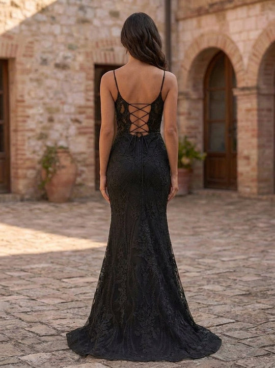 Black Back