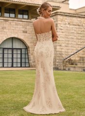 Open Back Halter V-Neck Lace Corset Mermaid Maxi Dress With Beading Slit