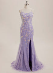 Trumpet/Mermaid Scoop Floor-Length Lace Maxi Dresses With Sequins