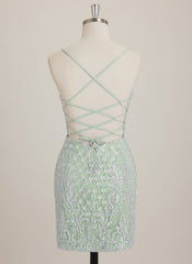 Sheath/Column Scoop Short Sequin Mini Dress