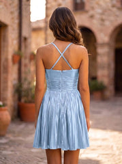 Color_Sky Blue_back