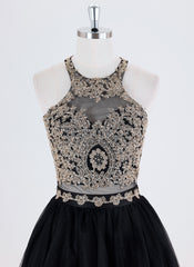Ball-Gown/Princess Sleeveless Short Lace Tulle Homecoming Dress With Sequins
