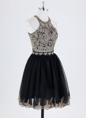 Ball-Gown/Princess Sleeveless Short Lace Tulle Homecoming Dress With Sequins