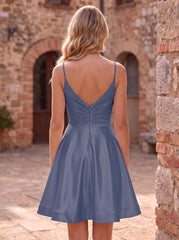 Navy-blue Back