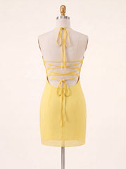 Color_Daffodil_img4
