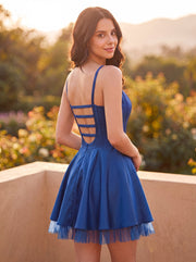 Color_Royal-blue_img1