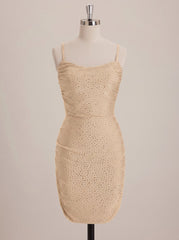 Color_Champagne_front