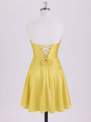 Color_Daffodil_back