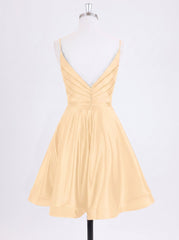 Color_Champagne_img4