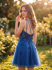 Color_Royal-blue_img2